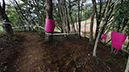 Tokyo XCO Track Walk