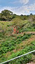 Tokyo XCO Track Walk