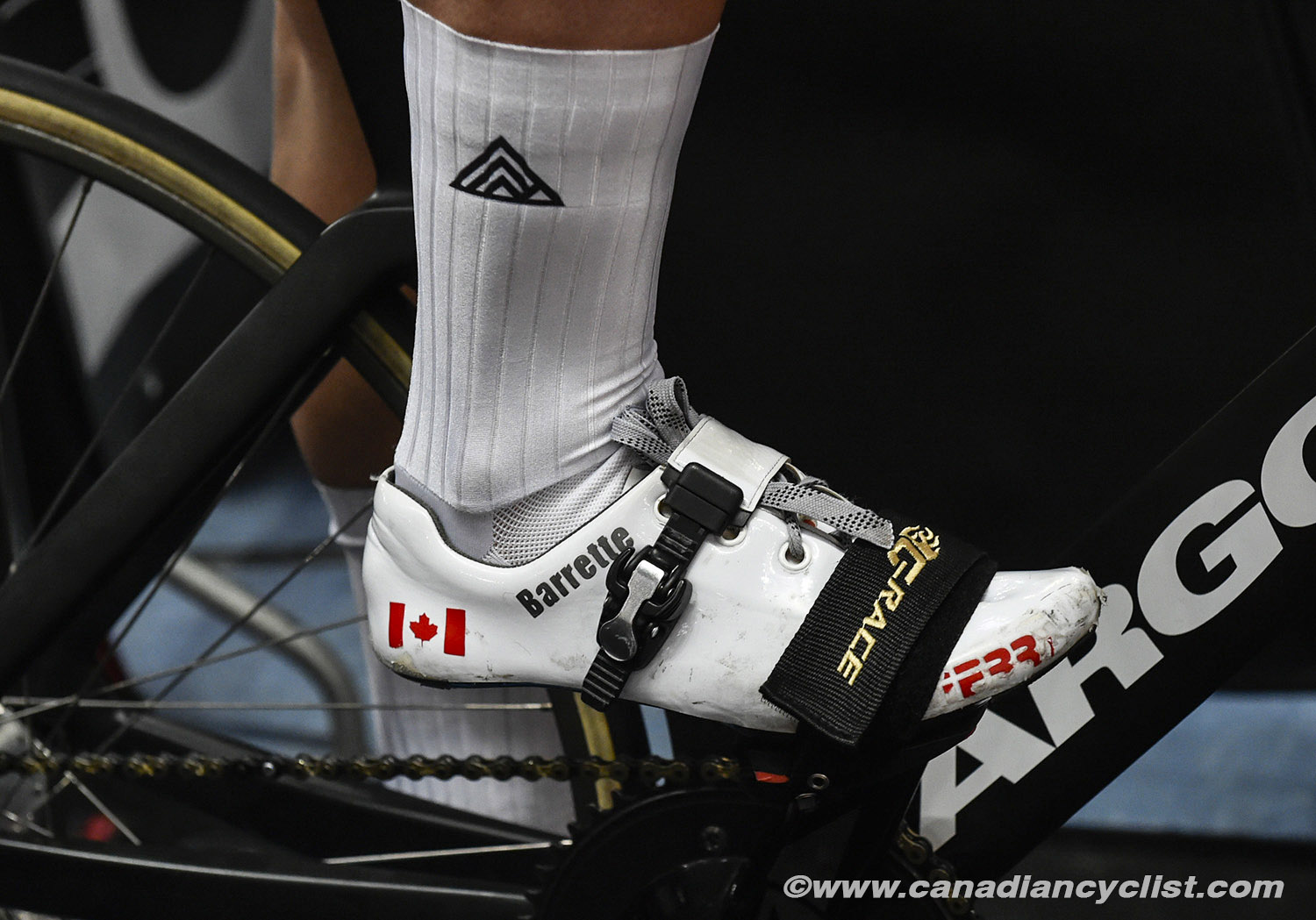 2019 Track World Championships, Poland