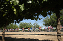 14th Amgen Tour of California 2019 - Stage 1