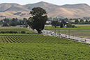 14th Amgen Tour of California 2019 - Stage 3