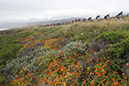 14th Amgen Tour of California 2019 - Stage 4