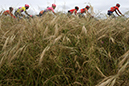 14th Amgen Tour of California 2019 - Stage 4
