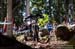 Val di Sole DH