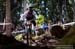 Val di Sole DH