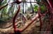 Val di Sole DH