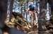 Vallnord, Andorra World Cup