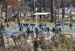 Pan Am Cyclocross Championships