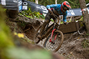 2020 Mountain Bike World Championships