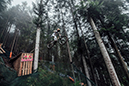 2020 Mountain Bike World Championships