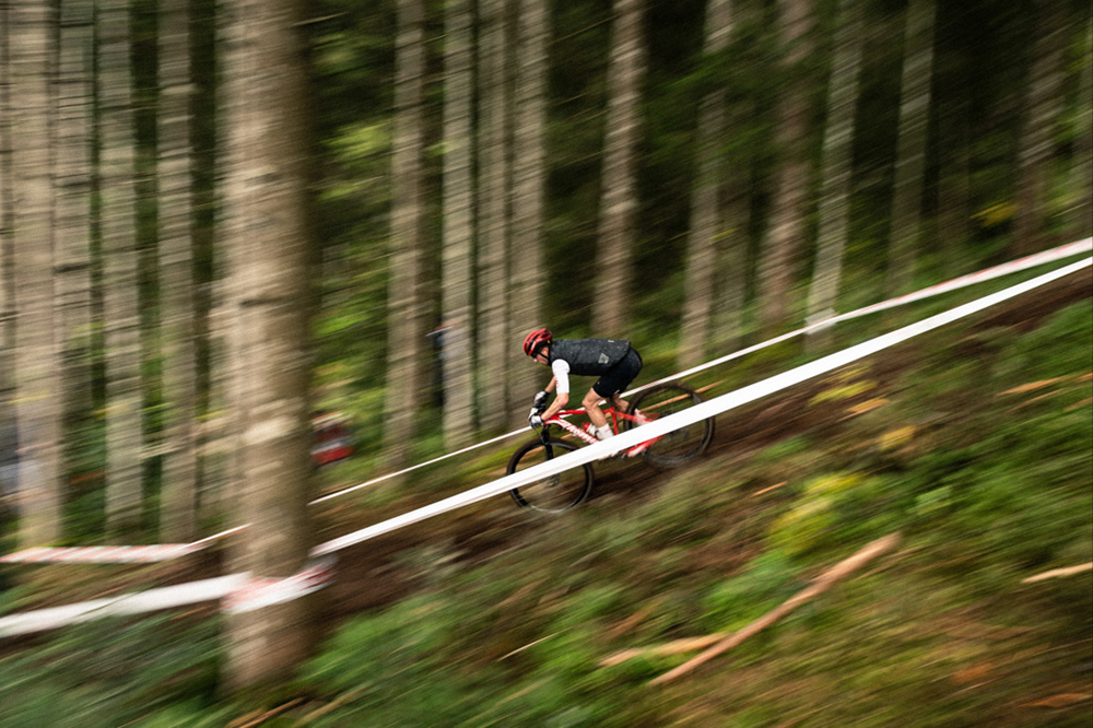 2020 Mountain Bike World Championships