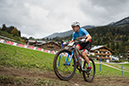 DiseraP