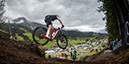 2020 Mountain Bike World Championships