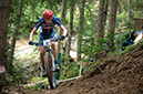 2020 Mountain Bike World Championships