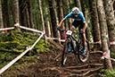 2020 Mountain Bike World Championships
