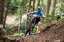 2020 Mountain Bike World Championships