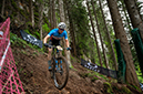 2020 Mountain Bike World Championships