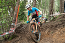 2020 Mountain Bike World Championships