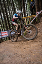 Mountain Bike World Championships, Leogang, Austria