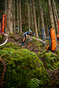 2020 Mountain Bike World Championships