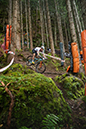 2020 Mountain Bike World Championships