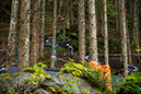 2020 Mountain Bike World Championships