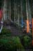 2020 Mountain Bike World Championships