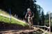 2020 Mountain Bike World Championships