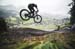 2020 Mountain Bike World Championships