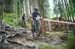 2020 Mountain Bike World Championships