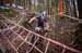 2020 Mountain Bike World Championships