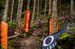 2020 Mountain Bike World Championships