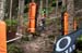 2020 Mountain Bike World Championships
