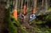 2020 Mountain Bike World Championships