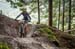 2020 Mountain Bike World Championships