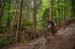 2020 Mountain Bike World Championships
