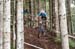 2020 Mountain Bike World Championships