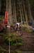 2020 Mountain Bike World Championships, U23 men