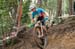 2020 Mountain Bike World Championships