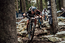 Nove Mesto World Cup