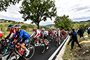 2020 Road World Championships