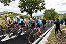 2020 Road World Championships