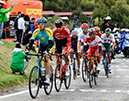 2020 Road World Championships