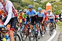 2020 Road World Championships