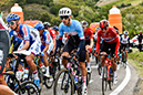 2020 Road World Championships