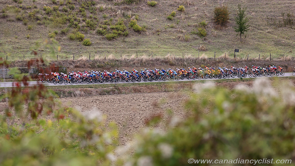 2020 Road World Championships
