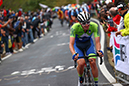 2020 Road World Championships