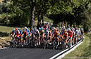 2020 Road World Championships