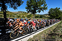 2020 Road World Championships
