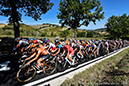 2020 Road World Championships